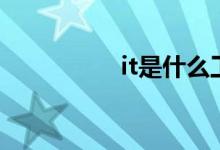 it是什么工作（it解释）