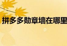 拼多多勋章墙在哪里找(拼多多勋章墙讲解)