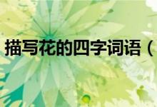 描写花的四字词语（什么词语是描写花朵的）