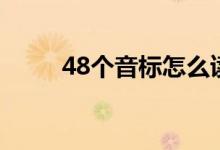 48个音标怎么读(48个音标如下)