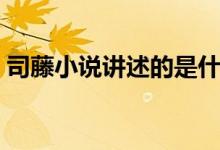 司藤小说讲述的是什么故事（司藤小说介绍）