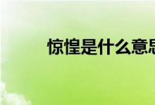 惊惶是什么意思（惊惶怎样解释）