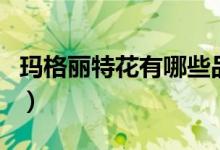 玛格丽特花有哪些品种（玛格丽特花品种介绍）