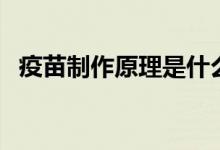 疫苗制作原理是什么（疫苗制作原理简介）