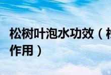 松树叶泡水功效（松树叶子泡水喝有哪些功效作用）