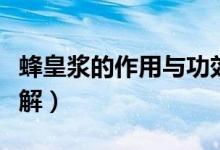 蜂皇浆的作用与功效（蜂皇浆的作用与功效详解）