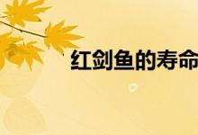 红剑鱼的寿命（大概能活多久）