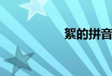 絮的拼音（絮的组词）