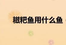 糍粑鱼用什么鱼（糍粑鱼是用什么鱼）