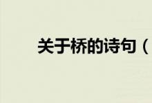 关于桥的诗句（哪些诗句和桥有关）