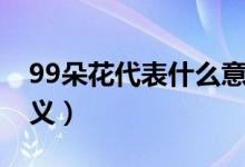 99朵花代表什么意思（99朵玫瑰花代表的含义）