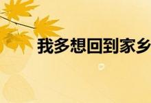 我多想回到家乡歌词（在他乡歌词）