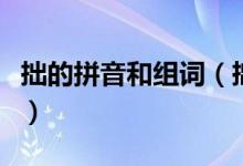 拙的拼音和组词（拙的拼音和组词分别是什么）