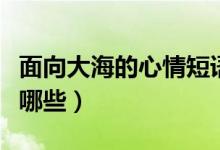 面向大海的心情短语（面向大海的心情短语有哪些）