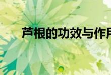 芦根的功效与作用（这里有详细介绍）