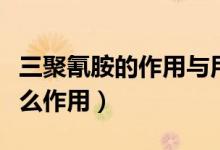 三聚氰胺的作用与用途是什么（三聚氰胺有什么作用）