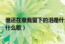 谁还在意我留下的泪是什么歌（歌词谁还在意我留下的泪是什么歌）