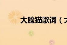 大脸猫歌词(大脸猫歌词是什么)
