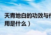 天青地白的功效与作用（天青地白的功效与作用是什么）