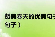赞美春天的优美句子有哪些（赞美春天的优美句子）