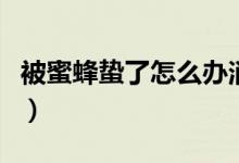 被蜜蜂蛰了怎么办消肿止痛（情况严重怎么办）