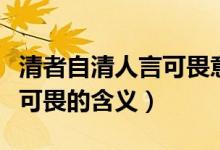 清者自清人言可畏意思是什么（清者自清人言可畏的含义）