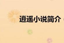 逍遥小说简介（逍遥的作者是谁）