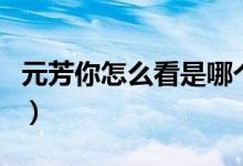 元芳你怎么看是哪个电视剧（元芳是谁扮演的）