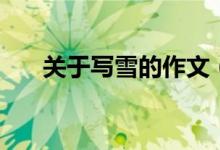 关于写雪的作文（有关雪的作文范文）