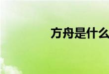 方舟是什么（方舟的简介）