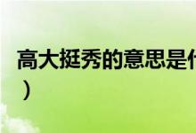 高大挺秀的意思是什么（高大挺秀是什么意思）