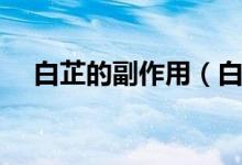 白芷的副作用（白芷的注意事项有哪些）