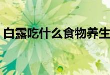 白露吃什么食物养生（白露吃什么传统食物）