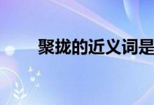 聚拢的近义词是什么(聚拢的含义)