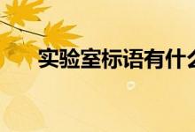 实验室标语有什么（实验室标语分享）