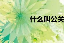 什么叫公关（公关是什么）