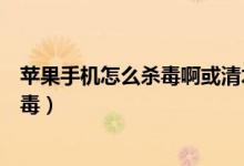苹果手机怎么杀毒啊或清木马啊（苹果手机如何查杀木马病毒）