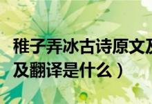 稚子弄冰古诗原文及翻译（稚子弄冰古诗原文及翻译是什么）