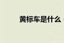 黄标车是什么（关于黄标车简介）