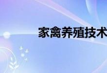 家禽养殖技术（养殖技术简介）