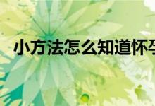 小方法怎么知道怀孕（如何判断是否怀孕）
