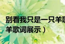 别看我只是一只羊歌词（歌曲别看我只是一只羊歌词展示）