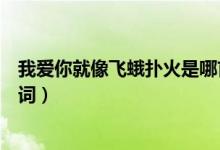 我爱你就像飞蛾扑火是哪首歌（我爱你就像飞蛾扑火完整歌词）
