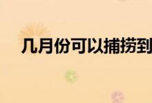 几月份可以捕捞到红虫（如何养殖红虫）