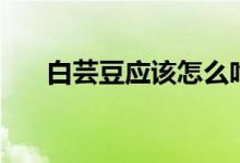 白芸豆应该怎么吃（白芸豆吃法简述）