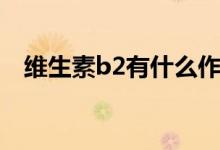 维生素b2有什么作用（维生素b2的功效）