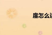 廛怎么读（廛读法）