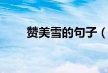 赞美雪的句子（赞美雪的句子精选）