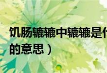 饥肠辘辘中辘辘是什么意思（饥肠辘辘中辘辘的意思）