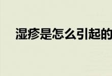湿疹是怎么引起的（湿疹是如何引起的）